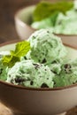 Organic Green Mint Chocolate Chip Ice Cream Royalty Free Stock Photo