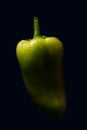 Organic green pepper close up, low key dark photography, empty space for text