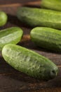 Organic Green Pickle Cucumbers