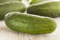 Organic Green Pickle Cucumbers