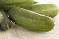 Organic Green Pickle Cucumbers