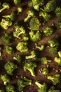 Organic Green Roasted Broccoli Florets Royalty Free Stock Photo