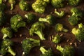 Organic Green Roasted Broccoli Florets Royalty Free Stock Photo