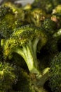 Organic Green Roasted Broccoli Florets Royalty Free Stock Photo