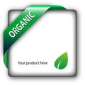 Organic green shiny corner ribbon