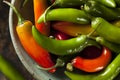 Organic Green Spicy Serrano Peppers