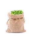 Organic green split peas filling in sack bag