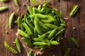 Organic Green Sugar Snap Peas