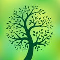 Organic green tree, eco emblem,