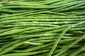 Organic green Yardlong beans in close-up shot