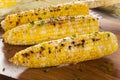 Organic Grilled Corn on the Cob Royalty Free Stock Photo