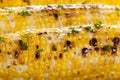Organic Grilled Corn on the Cob Royalty Free Stock Photo