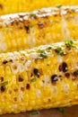 Organic Grilled Corn on the Cob Royalty Free Stock Photo