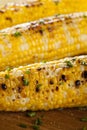 Organic Grilled Corn on the Cob Royalty Free Stock Photo