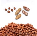 Organic Groundnuts shelled and in a nutshell, Big peanut set isolated on a white background Royalty Free Stock Photo