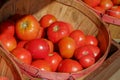 Organic grown cherry tomatoes in a large peach basket at a local