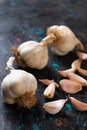 Organic grown garlic Royalty Free Stock Photo