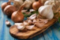 Organic grown garlic Royalty Free Stock Photo