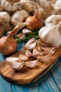 Organic grown garlic Royalty Free Stock Photo