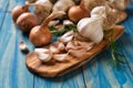 Organic grown garlic Royalty Free Stock Photo