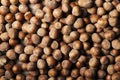 Organic hazelnuts texture background from above perspective Royalty Free Stock Photo