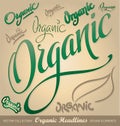 Organic headlines, hand lettering set (vector) Royalty Free Stock Photo
