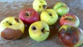 Organic, healthy, chemically-free, rotten apples