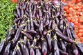 Organic and healthy eggplant pictures of vegetables