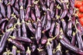 Organic and healthy eggplant pictures of vegetables