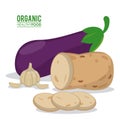 Organic healthy food eggplant garlic and potato Royalty Free Stock Photo