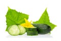 Organic healthy food. Fresh green cucumber natural vegetables with leaf and flower isolated on white background. Close up image