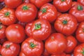 Organic healthy fresh big red ripe tomatoes on the market on sun Royalty Free Stock Photo