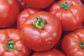 Organic healthy fresh big red ripe tomatoes on the market on sun Royalty Free Stock Photo