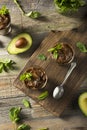 Organic Healthy Homemade Avocado Pudding