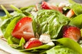 Organic Healthy Strawberry Balsamic Salad