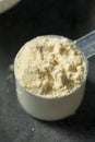 Organic Healthy Vanilla Whey Protein Powder