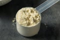 Organic Healthy Vanilla Whey Protein Powder