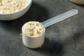 Organic Healthy Vanilla Whey Protein Powder