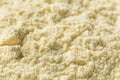 Organic Healthy Vanilla Whey Protein Powder