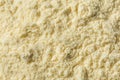 Organic Healthy Vanilla Whey Protein Powder