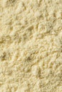 Organic Healthy Vanilla Whey Protein Powder