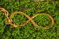 Organic hemp rope arranged in the form of the symbol of infinity. Endless symbol made from natural rope on a green