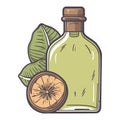 Organic herb infused oil, a healthy gourmet ingredient
