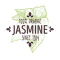 Organic herb, jasmine flowers, herbal tea and healthcare products