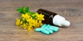 organic herbal medication in capsules and brown glass bottle Royalty Free Stock Photo