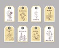 Organic herbs labels for natural products and culinary