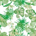 Organic Hibiscus Jungle. Greenery Flower Plant. Natural Seamless Garden. Watercolor Jungle. Pattern Jungle. Green Tropical Design. Royalty Free Stock Photo