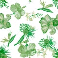 Organic Hibiscus Texture. Green Flower Leaves. Greenery Seamless Set. Watercolor Wallpaper. Pattern Design. Natural Tropical Leave Royalty Free Stock Photo