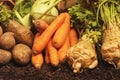 Organic homegrown produce pile