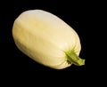 Organic homegrown spaghetti squash Cucurbita pepo Royalty Free Stock Photo